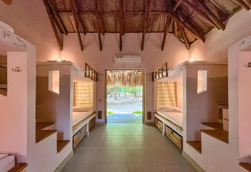 Vuode Makuusalissa, Viajero Tayrona Hostel & Ecohabs
