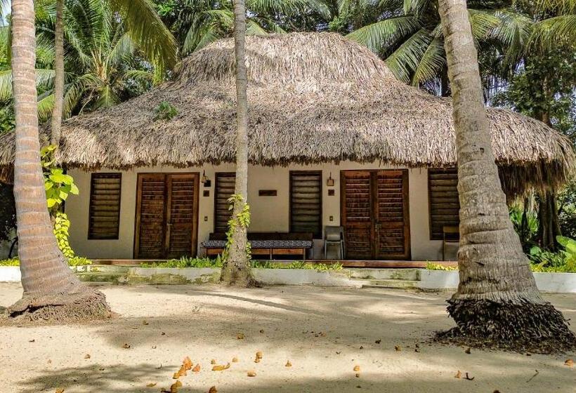 공동 객실, Viajero Tayrona Hostel & Ecohabs