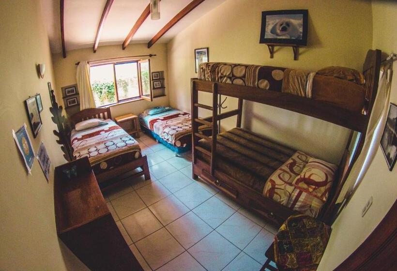 اتاق استاندارد چهار تخته, Hostel Serena