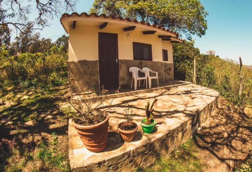 ویلای استاندارد با چشم‌انداز باغ, Hostel Serena