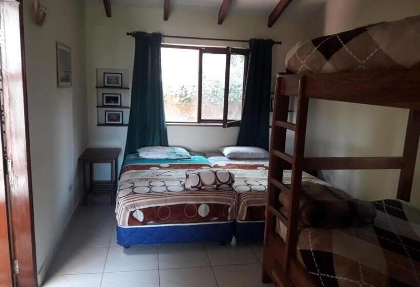 تختخواب در اتاق مشترک, Hostel Serena
