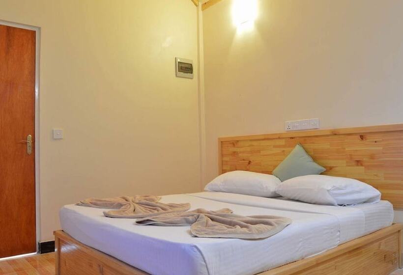 اتاق استاندارد, Local Island Inn