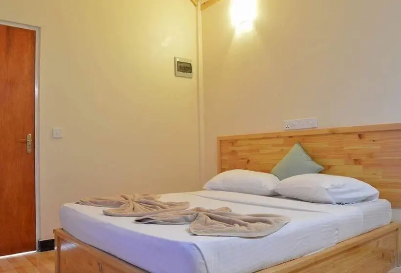 اتاق استاندارد, Local Island Inn