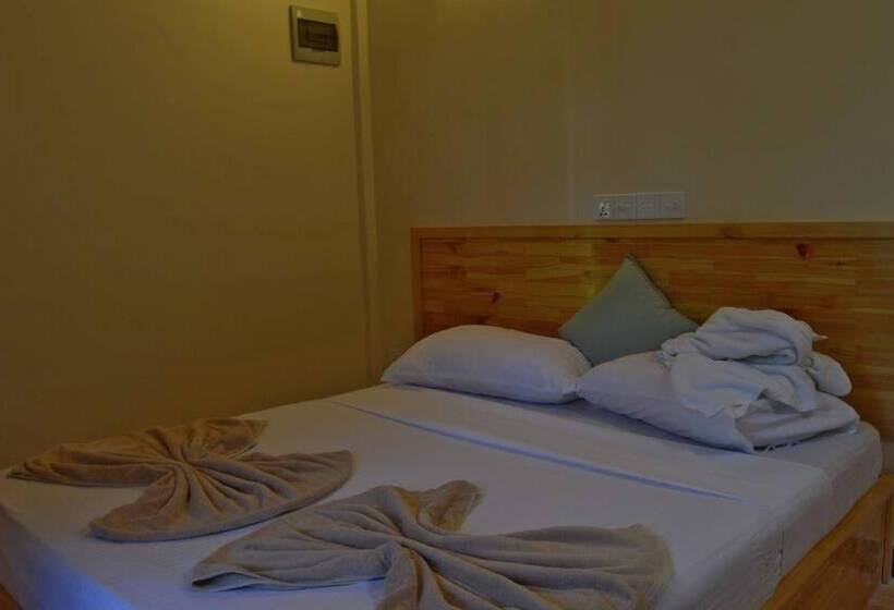 اتاق استاندارد, Local Island Inn