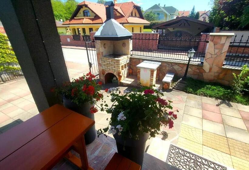 إستوديو قياسى, Selfness Rožňava