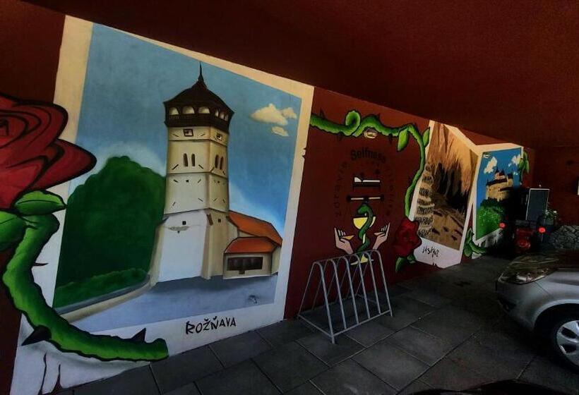 إستوديو قياسى, Selfness Rožňava