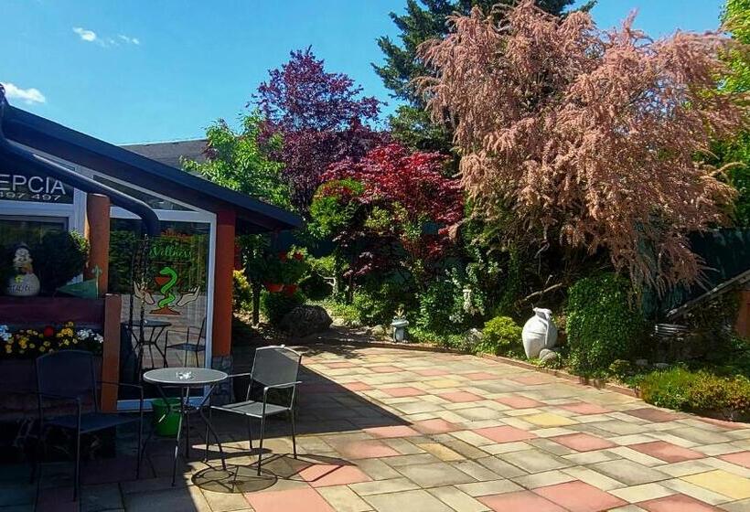 إستوديو قياسى, Selfness Rožňava