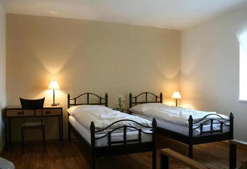 身障者適用スタンダードルーム, Wellness Hotel Lihovar
