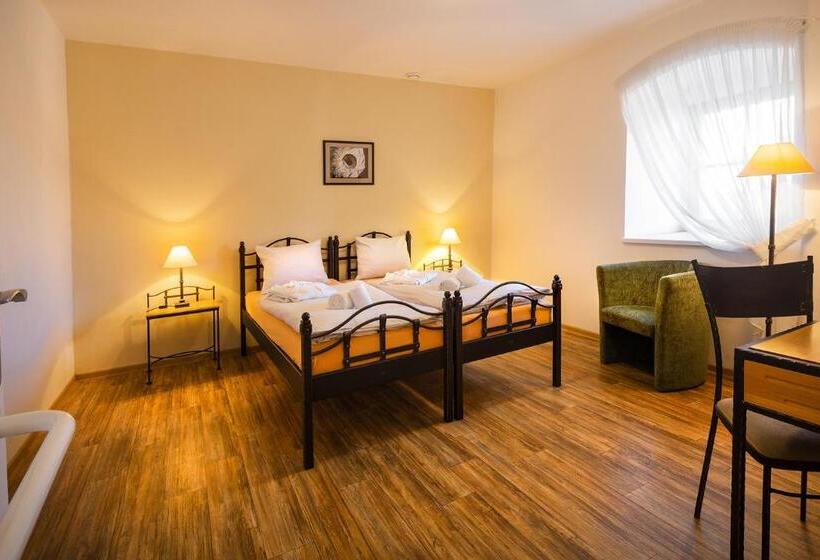 适合残疾人使用的标准间, Wellness Hotel Lihovar