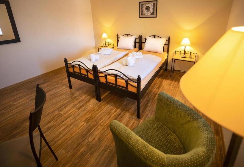 适合残疾人使用的标准间, Wellness Hotel Lihovar