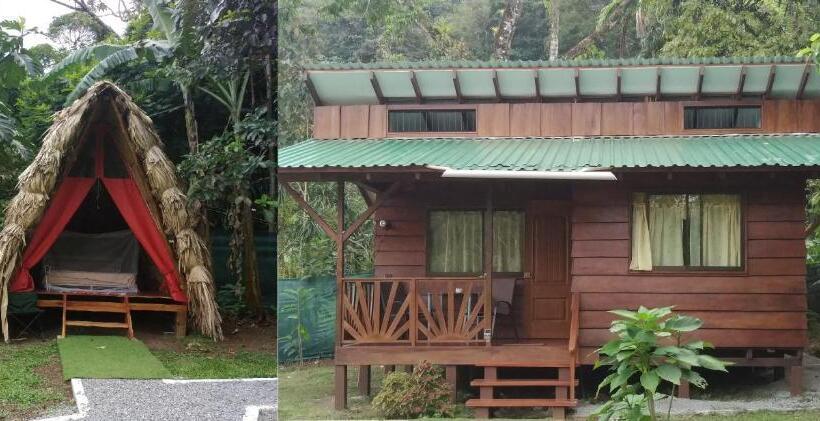 Standard Tent, Centro Ananda