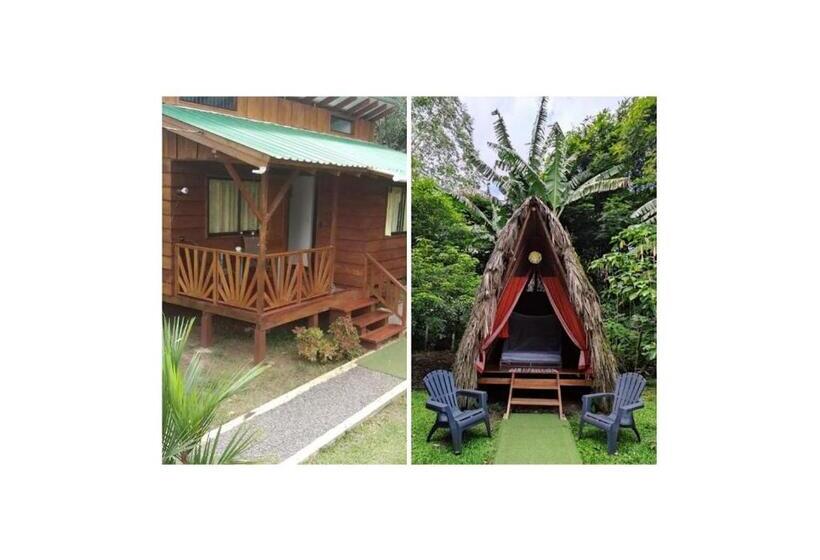 Standard Tent, Centro Ananda