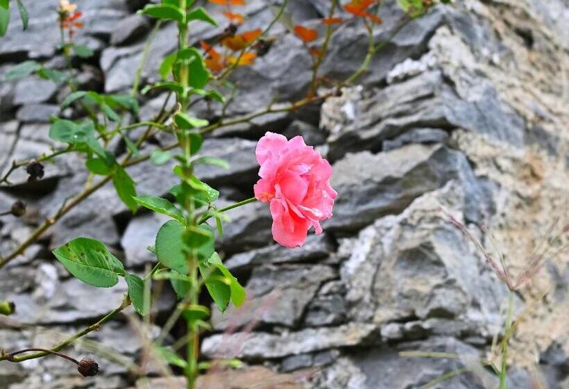 חדר משפחתי, Boato Bistrot & Bed