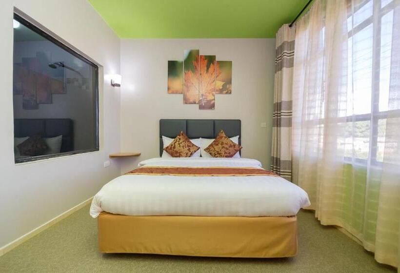 اتاق سوپریور, Maple Inn