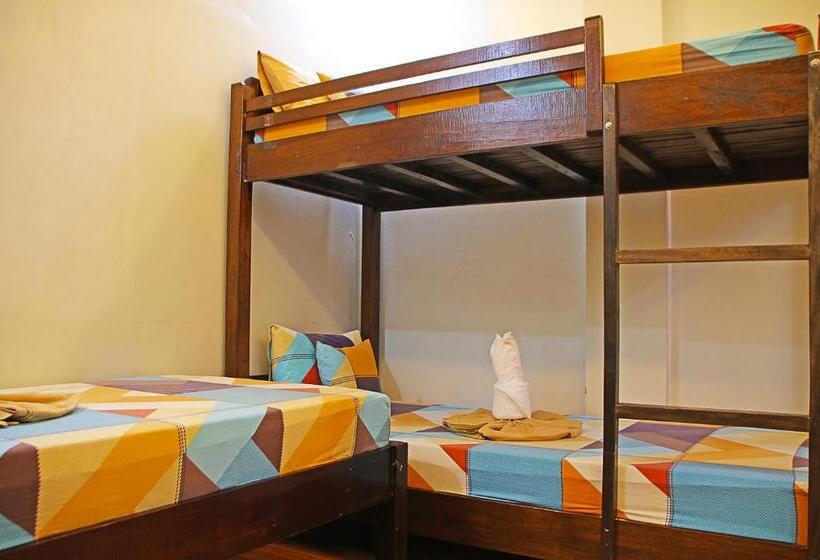 اتاق خانوادگی, Seaslugs Traveller S Inn