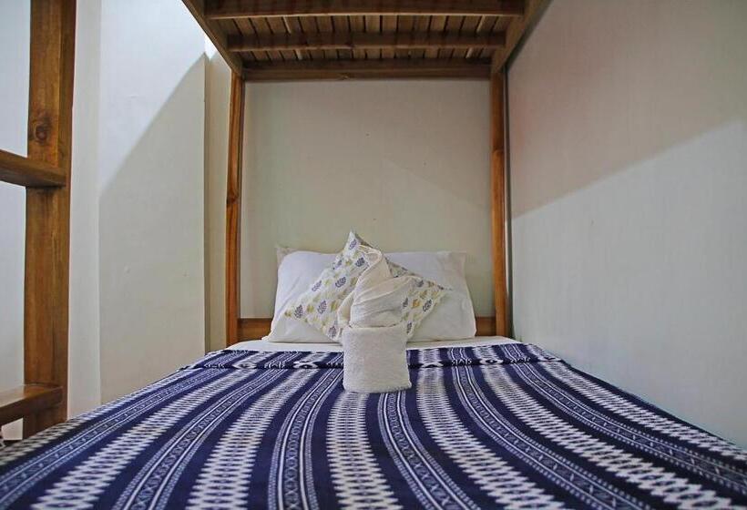 اتاق استاندارد چهار تخته, Seaslugs Traveller S Inn