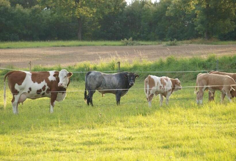 バルコニー付きスタンダードルーム, Haus Seeblick