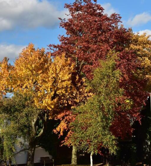 バルコニー付きジュニアスイート, Haus Seeblick