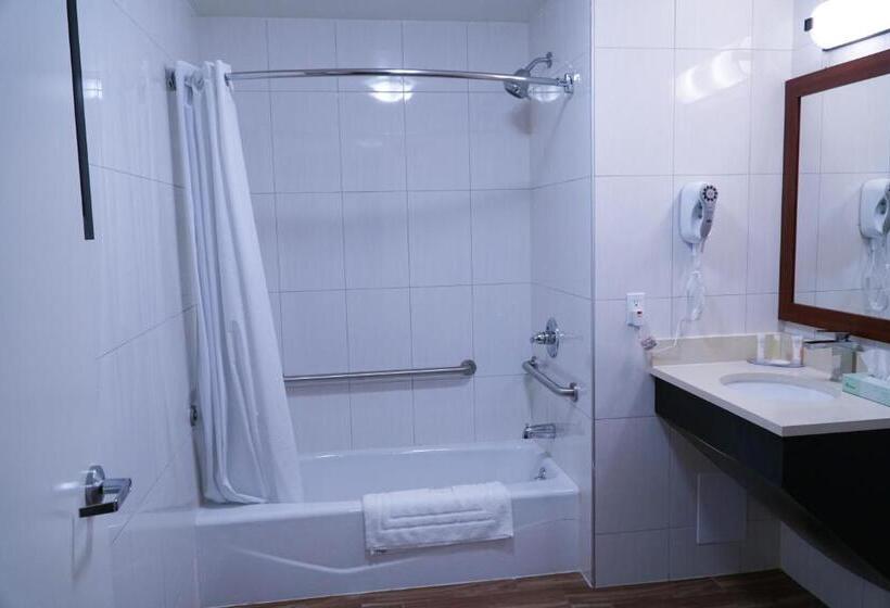 Quarto Estandar, Mint Jfk Airport
