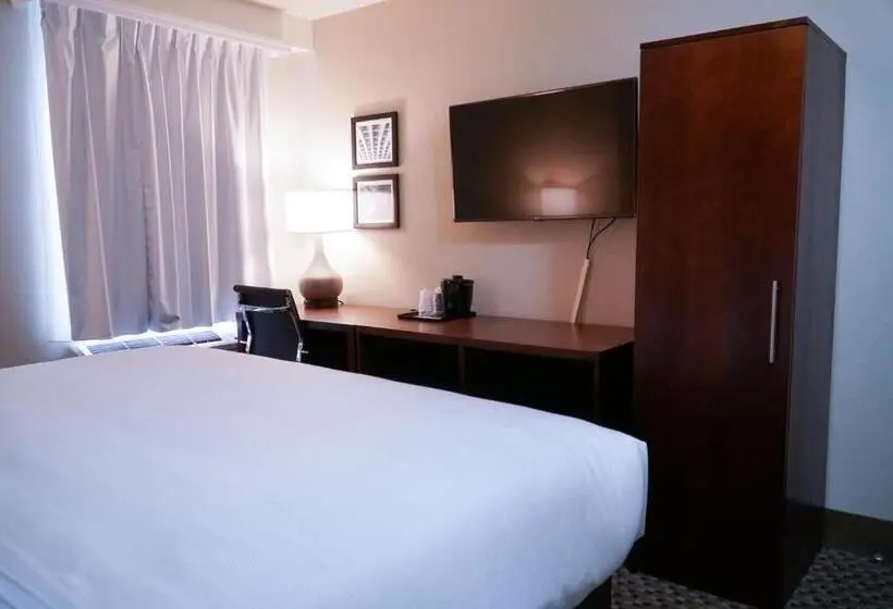 اتاق استاندارد با تخت بزرگ, Mint Jfk Airport
