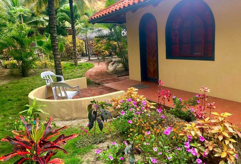 اتاق لوکس, Canoaoasis