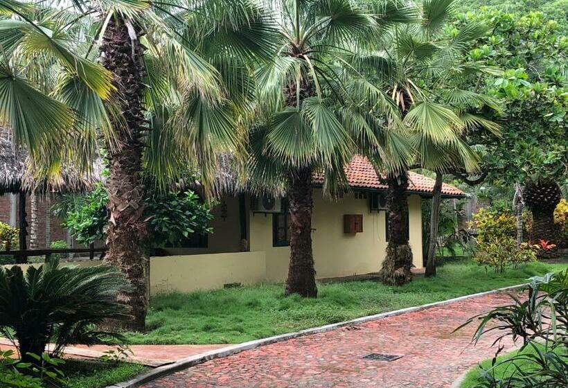 اتاق لوکس, Canoaoasis