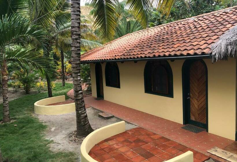 اتاق لوکس, Canoaoasis