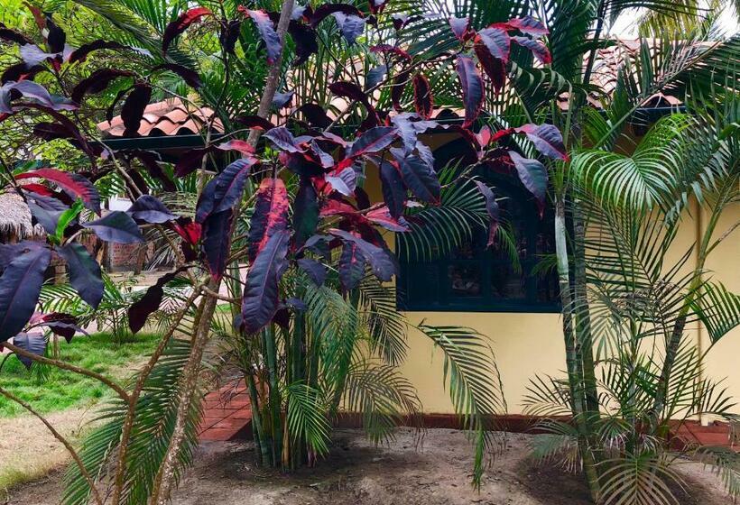 اتاق لوکس, Canoaoasis