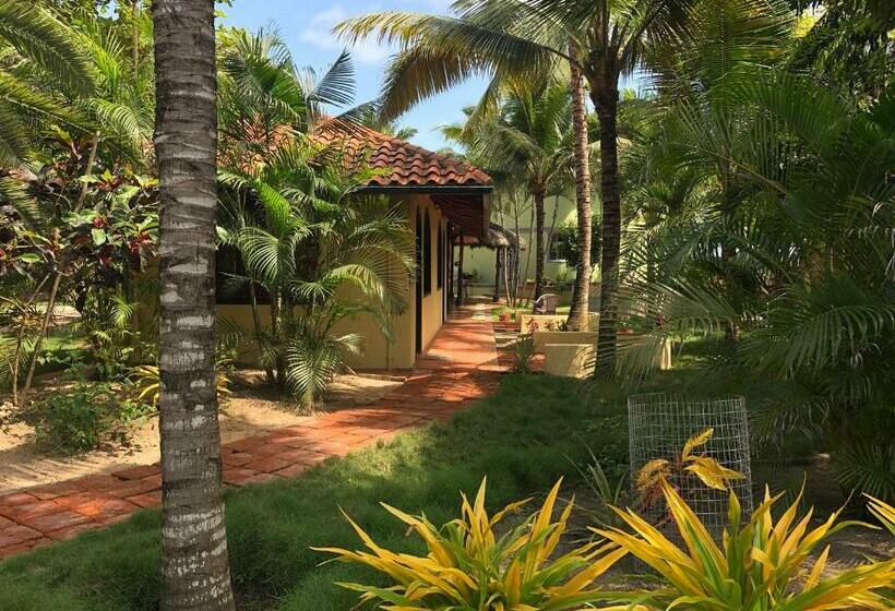 اتاق لوکس, Canoaoasis