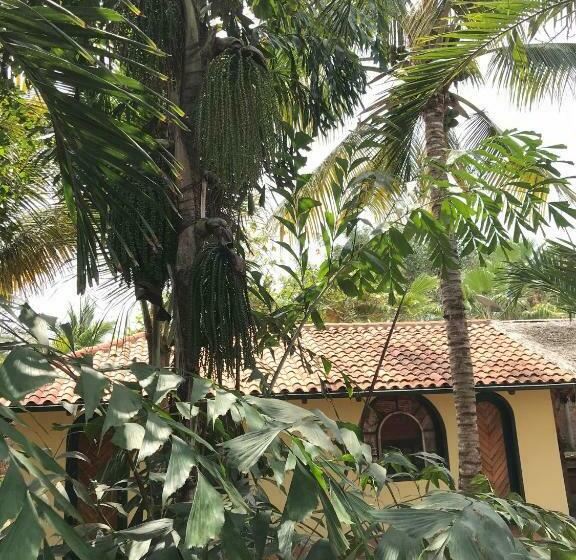 اتاق لوکس, Canoaoasis