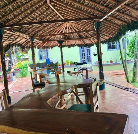 اتاق لوکس, Canoaoasis