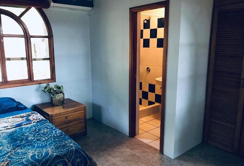 اتاق لوکس, Canoaoasis