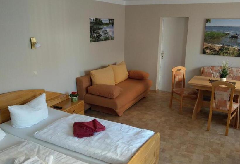 Номер Стандарт, Pension Body Sun
