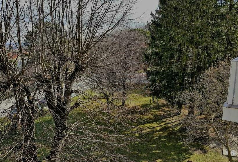 חדר סטנדרט יחיד עם מרפסת, Hotwagner