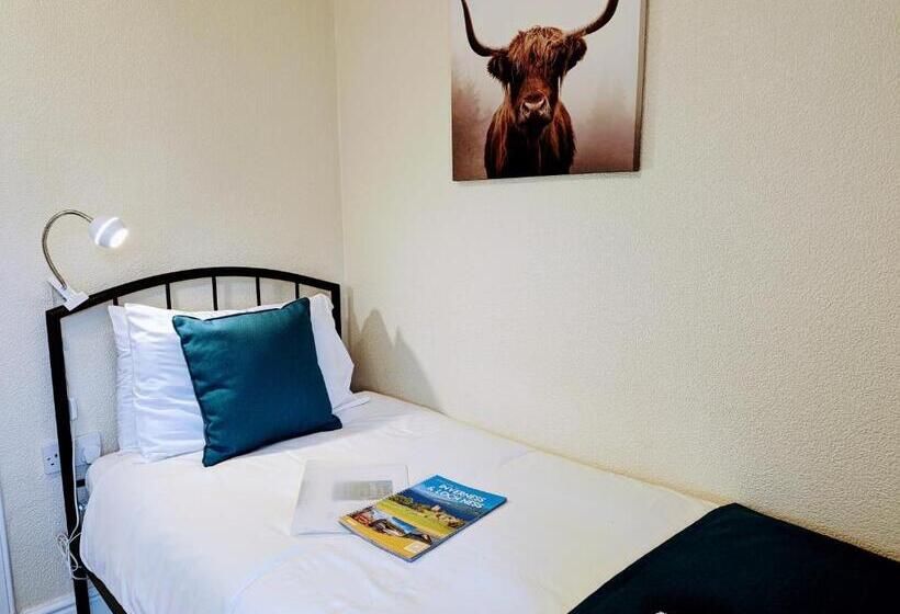 스탠다드 싱글 룸, The Coo's Guest House