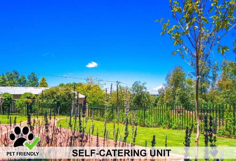 شاليه غرفة نوم واحدة, Cinzaco Dullstroom