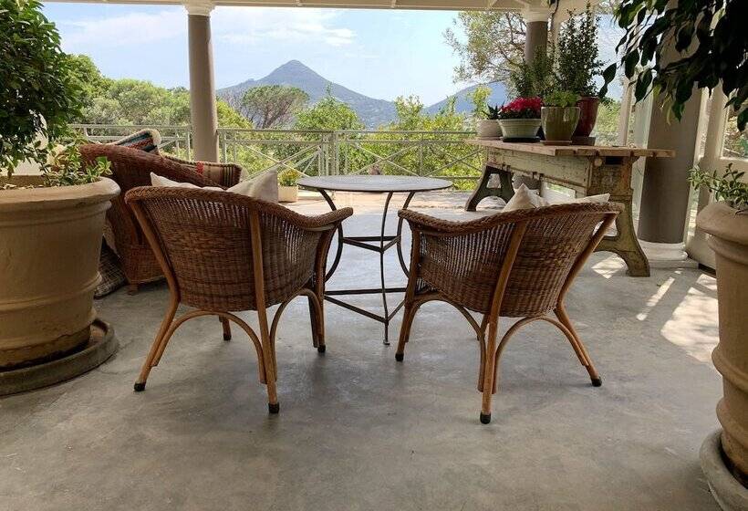 غرفة سوبيريور, Frogs Hill