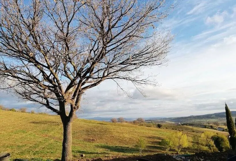 スーペリアシングルルーム, Agriturismo Le Piccole Macìe