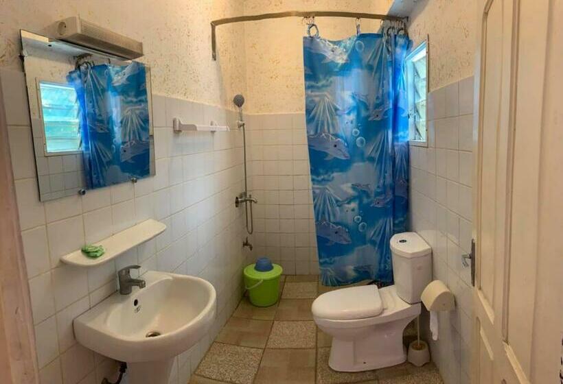 اتاق استاندارد, Tahiti