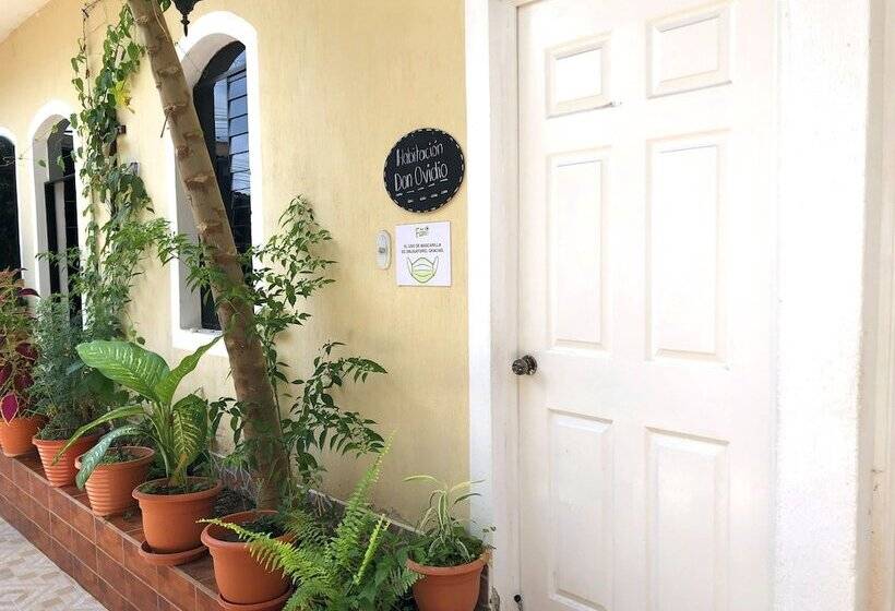 اتاق استاندارد, Casa Mama Fanti