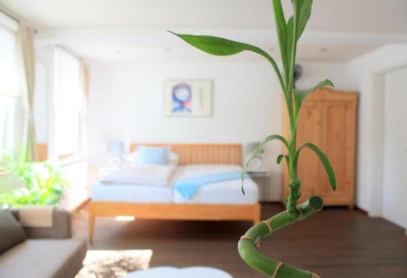 디럭스 룸, D & S Hotel & Ferienwohnungen