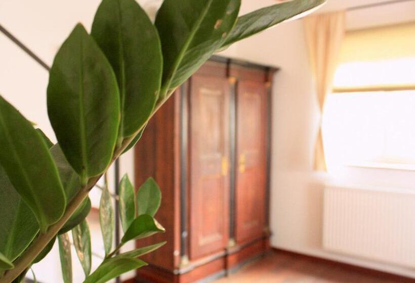 디럭스 룸, D & S Hotel & Ferienwohnungen