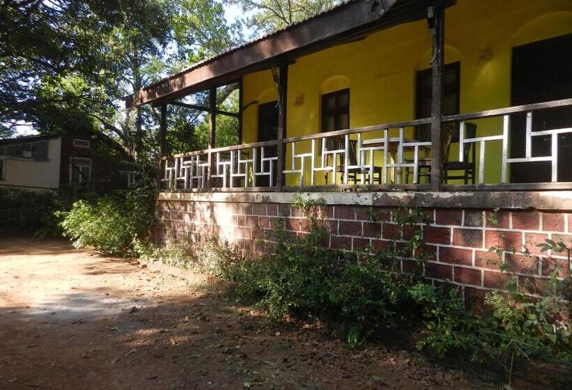 Maja/Mökki, Sayeban