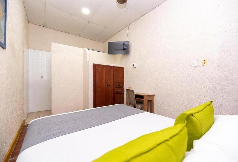 اتاق اکونومی, Ayenda Skall 1319