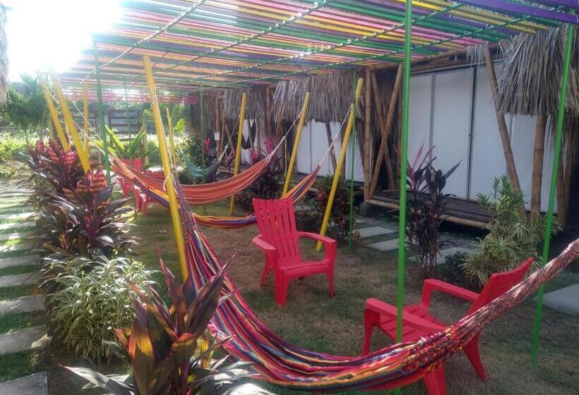 اتاق استاندارد, Cabaña Beach Palomino