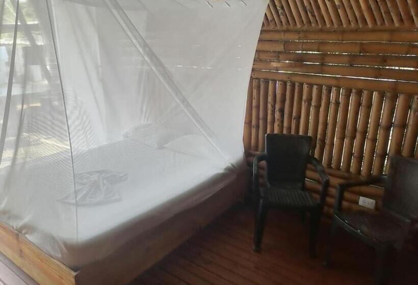 اتاق استاندارد, Cabaña Beach Palomino