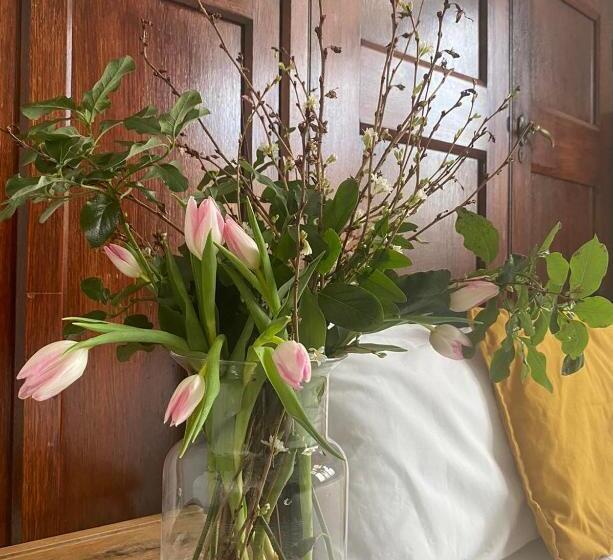 جناح جونيور, Endsleigh Park Aparthotel Close To Hull University