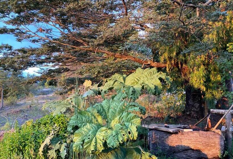 اتاق استاندارد, Cabañas Lodge Patagonia Truful