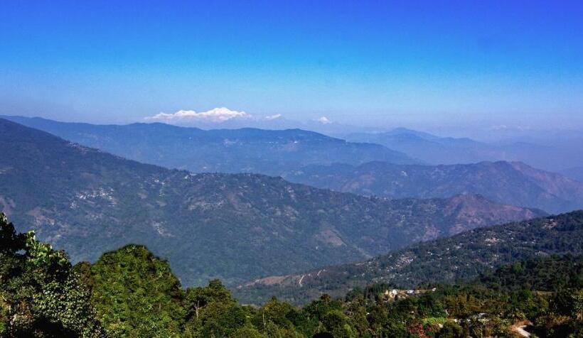 Quarto Triplo Estandar, Paradiso