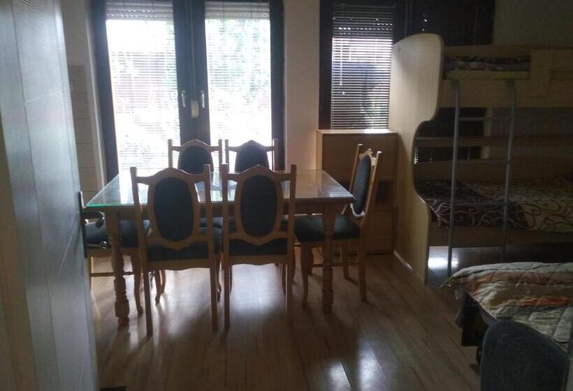 اتاق استاندارد چهارنفره با سرویس بهداشتی مشترک, Apartments Filemi